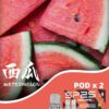 sp2s拋棄式菸彈西瓜口味 sp2s拋棄式菸彈西瓜口味